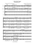 Dum Spiro Spero CHSSAA-JDP010218DSS perusal